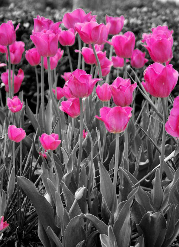 اضغط على الصورة لعرض أكبر.&nbsp;

الإسم:	photo_2016-08-15_16-54-54.jpg&nbsp;
مشاهدات:	1&nbsp;
الحجم:	95.3 كيلوبايت&nbsp;
الهوية:	861868