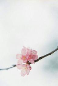 اضغط على الصورة لعرض أكبر.&nbsp;

الإسم:	received_1828279654100537.jpg&nbsp;
مشاهدات:	1&nbsp;
الحجم:	4.0 كيلوبايت&nbsp;
الهوية:	862349