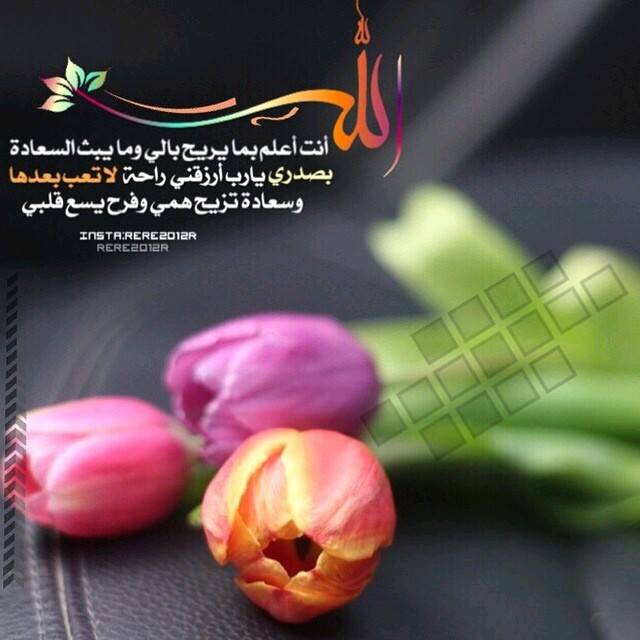 اضغط على الصورة لعرض أكبر.&nbsp;

الإسم:	سعاددةة.jpg&nbsp;
مشاهدات:	1&nbsp;
الحجم:	40.2 كيلوبايت&nbsp;
الهوية:	862386