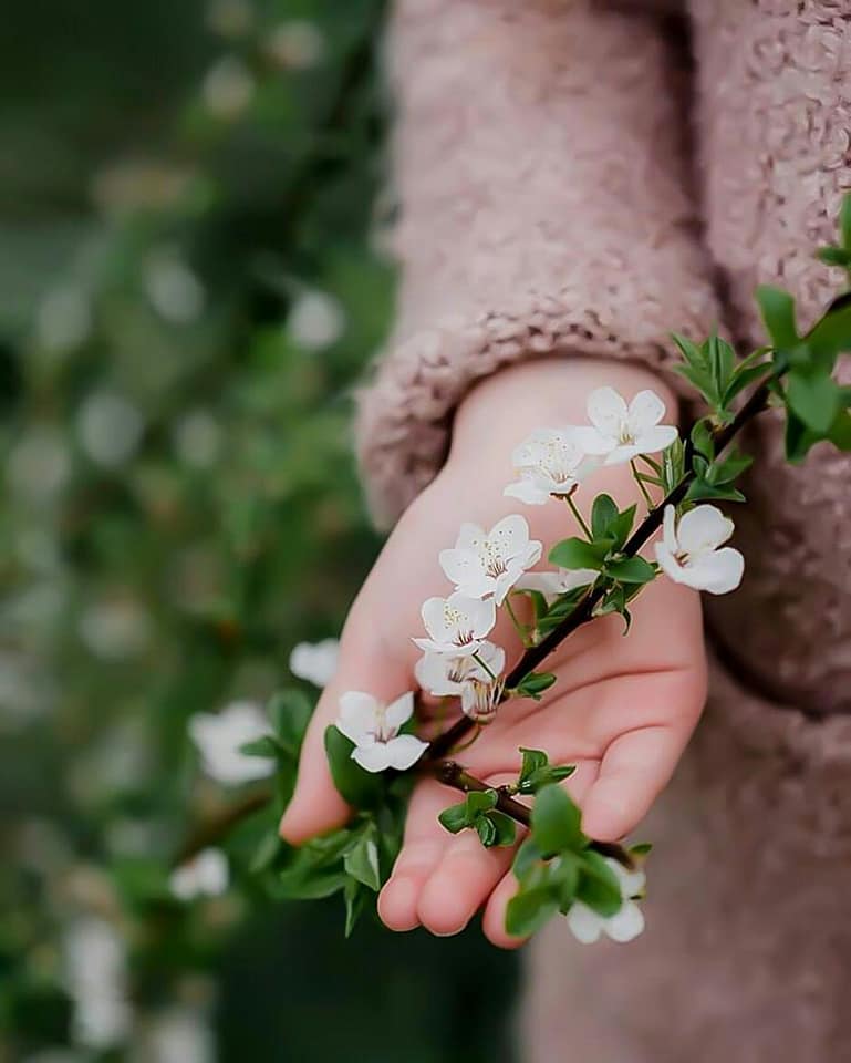 اضغط على الصورة لعرض أكبر.&nbsp;

الإسم:	31531470_2142770685946067_3742299502875246592_n.jpg&nbsp;
مشاهدات:	3&nbsp;
الحجم:	47.8 كيلوبايت&nbsp;
الهوية:	861800