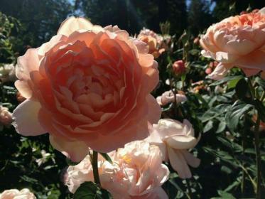 اضغط على الصورة لعرض أكبر.&nbsp;

الإسم:	received_755761341252065.jpg&nbsp;
مشاهدات:	1&nbsp;
الحجم:	21.8 كيلوبايت&nbsp;
الهوية:	861373