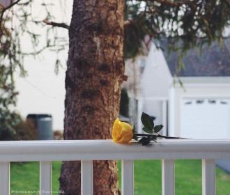 اضغط على الصورة لعرض أكبر.&nbsp;

الإسم:	received_756291177865748.jpg&nbsp;
مشاهدات:	1&nbsp;
الحجم:	16.2 كيلوبايت&nbsp;
الهوية:	862002