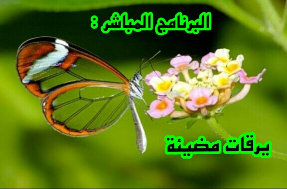 اضغط على الصورة لعرض أكبر.&nbsp;

الإسم:	CTD241201715228.jpg&nbsp;
مشاهدات:	1&nbsp;
الحجم:	148.8 كيلوبايت&nbsp;
الهوية:	860179