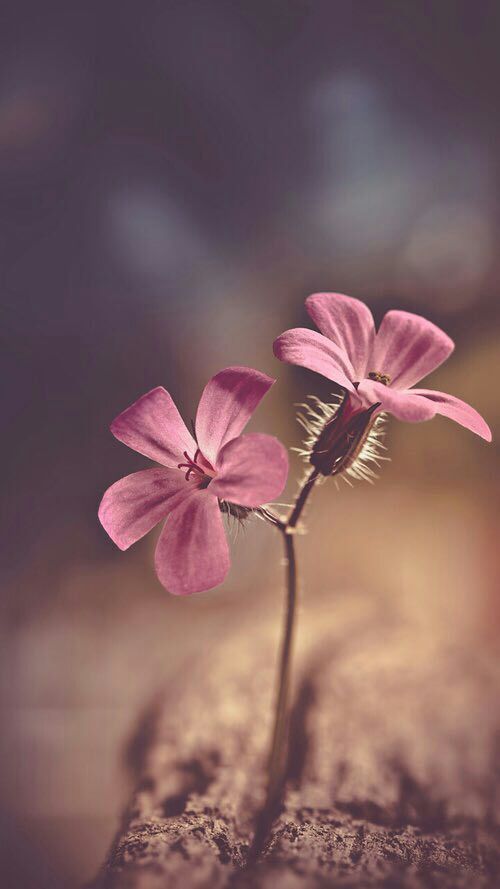 اضغط على الصورة لعرض أكبر.&nbsp;

الإسم:	IMG_20160319_193145.jpg&nbsp;
مشاهدات:	2&nbsp;
الحجم:	36.7 كيلوبايت&nbsp;
الهوية:	861946