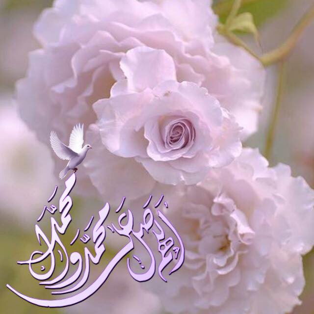 اضغط على الصورة لعرض أكبر.&nbsp;

الإسم:	17861966_1928190224066626_7606338768447475905_n.jpg&nbsp;
مشاهدات:	1&nbsp;
الحجم:	38.3 كيلوبايت&nbsp;
الهوية:	863352