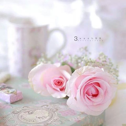 اضغط على الصورة لعرض أكبر.&nbsp;

الإسم:	10355860_383438971816919_2788942519752597014_n.jpg&nbsp;
مشاهدات:	1&nbsp;
الحجم:	25.4 كيلوبايت&nbsp;
الهوية:	861776