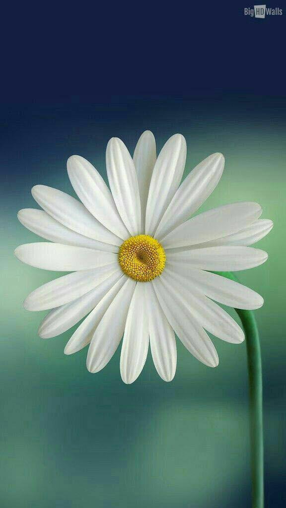 اضغط على الصورة لعرض أكبر.&nbsp;

الإسم:	photo_2018-05-19_23-47-42.jpg&nbsp;
مشاهدات:	1&nbsp;
الحجم:	43.8 كيلوبايت&nbsp;
الهوية:	862067