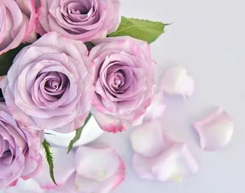 اضغط على الصورة لعرض أكبر.&nbsp;

الإسم:	FB_IMG_1488388687444.jpg&nbsp;
مشاهدات:	1&nbsp;
الحجم:	16.3 كيلوبايت&nbsp;
الهوية:	862522