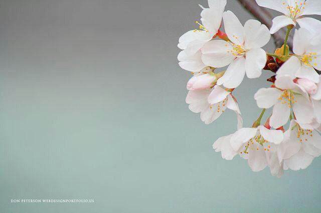 اضغط على الصورة لعرض أكبر.&nbsp;

الإسم:	photo_2017-06-16_18-39-23.jpg&nbsp;
مشاهدات:	1&nbsp;
الحجم:	20.5 كيلوبايت&nbsp;
الهوية:	862183