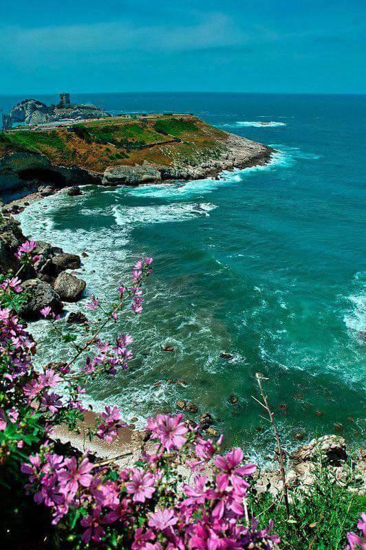 اضغط على الصورة لعرض أكبر.&nbsp;

الإسم:	20206212_800397313455134_1185833603_n.jpg&nbsp;
مشاهدات:	1&nbsp;
الحجم:	95.3 كيلوبايت&nbsp;
الهوية:	860770