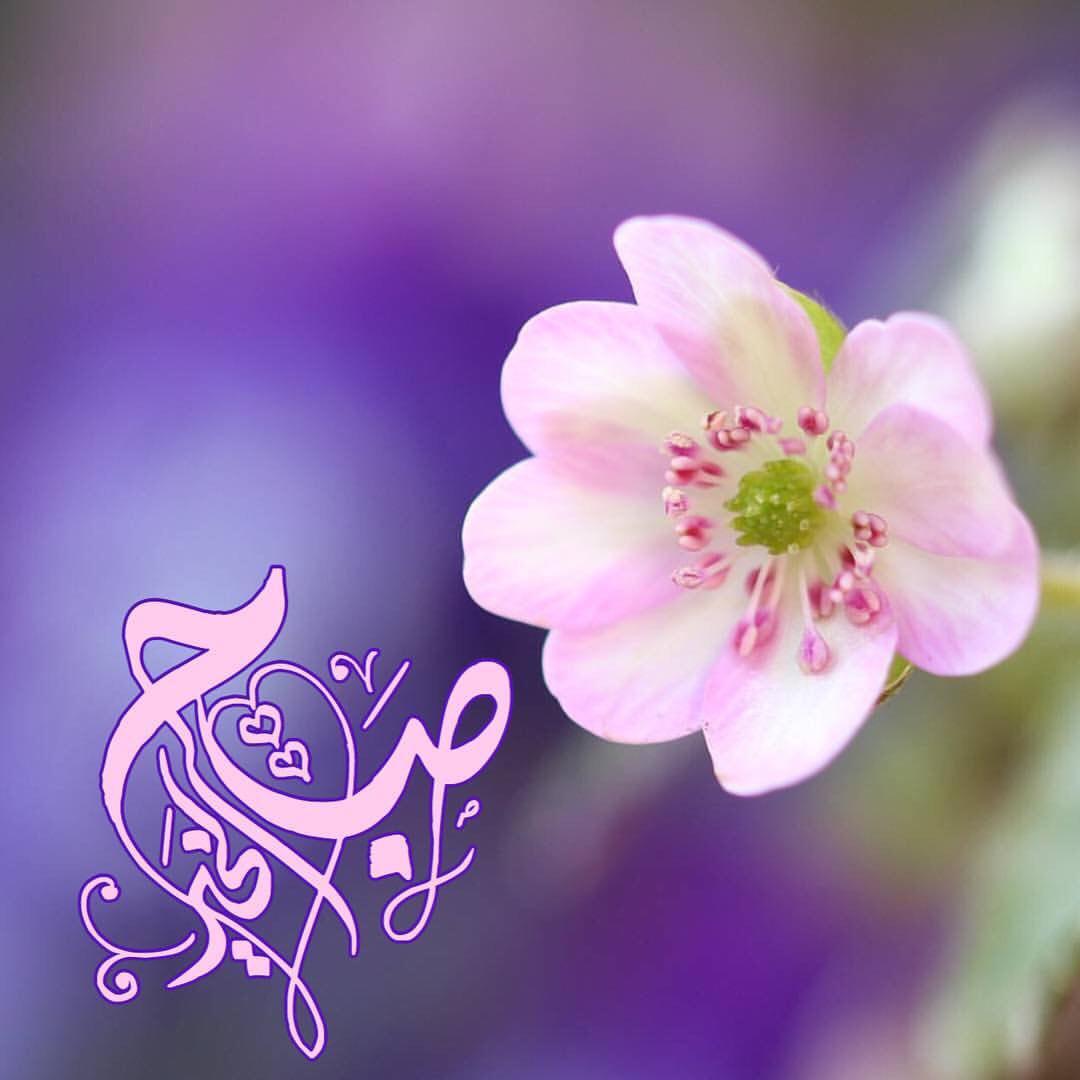 اضغط على الصورة لعرض أكبر.&nbsp;

الإسم:	photo_2017-04-10_11-39-09.jpg&nbsp;
مشاهدات:	1&nbsp;
الحجم:	67.6 كيلوبايت&nbsp;
الهوية:	860359