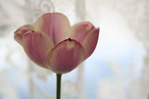 اضغط على الصورة لعرض أكبر.&nbsp;

الإسم:	FB_IMG_1485750286026.jpg&nbsp;
مشاهدات:	1&nbsp;
الحجم:	7.6 كيلوبايت&nbsp;
الهوية:	862047