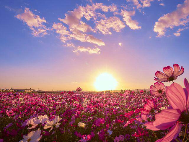 اضغط على الصورة لعرض أكبر.&nbsp;

الإسم:	photo_2016-12-02_09-49-24.jpg&nbsp;
مشاهدات:	1&nbsp;
الحجم:	59.0 كيلوبايت&nbsp;
الهوية:	859959