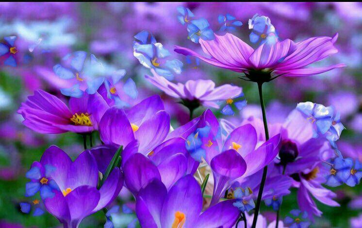 اضغط على الصورة لعرض أكبر.&nbsp;

الإسم:	photo_2018-02-12_21-10-47.jpg&nbsp;
مشاهدات:	1&nbsp;
الحجم:	59.9 كيلوبايت&nbsp;
الهوية:	861869