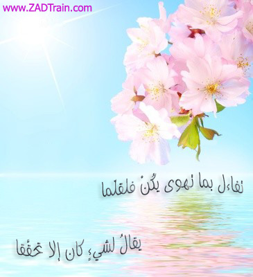 اضغط على الصورة لعرض أكبر.&nbsp;

الإسم:	1069c0b0c624bd6f11516eb6aba2c622.jpg&nbsp;
مشاهدات:	1&nbsp;
الحجم:	61.6 كيلوبايت&nbsp;
الهوية:	860762