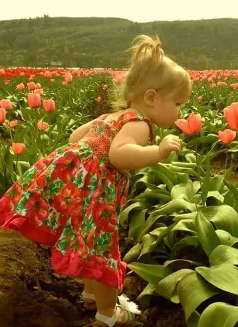 اضغط على الصورة لعرض أكبر.&nbsp;

الإسم:	طفلة.jpg&nbsp;
مشاهدات:	1&nbsp;
الحجم:	46.9 كيلوبايت&nbsp;
الهوية:	862300