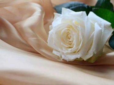 اضغط على الصورة لعرض أكبر.&nbsp;

الإسم:	received_1767654316829738.jpg&nbsp;
مشاهدات:	2&nbsp;
الحجم:	12.7 كيلوبايت&nbsp;
الهوية:	860547