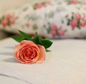 اضغط على الصورة لعرض أكبر.&nbsp;

الإسم:	received_761672870660912.jpg&nbsp;
مشاهدات:	1&nbsp;
الحجم:	10.8 كيلوبايت&nbsp;
الهوية:	861959