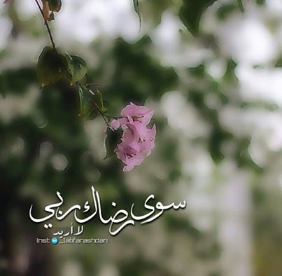 اضغط على الصورة لعرض أكبر.&nbsp;

الإسم:	رضا الله.jpg&nbsp;
مشاهدات:	1&nbsp;
الحجم:	21.6 كيلوبايت&nbsp;
الهوية:	861482