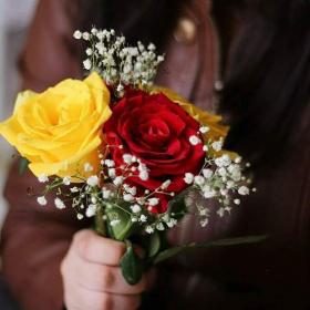 اضغط على الصورة لعرض أكبر.&nbsp;

الإسم:	received_619775628213933.jpg&nbsp;
مشاهدات:	2&nbsp;
الحجم:	13.2 كيلوبايت&nbsp;
الهوية:	862336