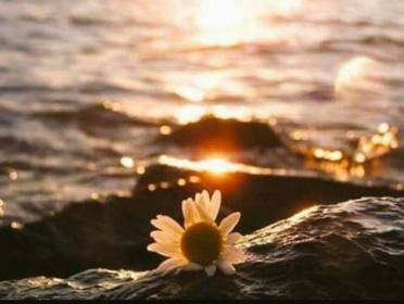 اضغط على الصورة لعرض أكبر.&nbsp;

الإسم:	received_757442347750631.jpg&nbsp;
مشاهدات:	1&nbsp;
الحجم:	15.9 كيلوبايت&nbsp;
الهوية:	861973