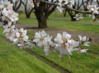 اضغط على الصورة لعرض أكبر.&nbsp;

الإسم:	IMG_202703674355467.jpg&nbsp;
مشاهدات:	1&nbsp;
الحجم:	18.3 كيلوبايت&nbsp;
الهوية:	861385