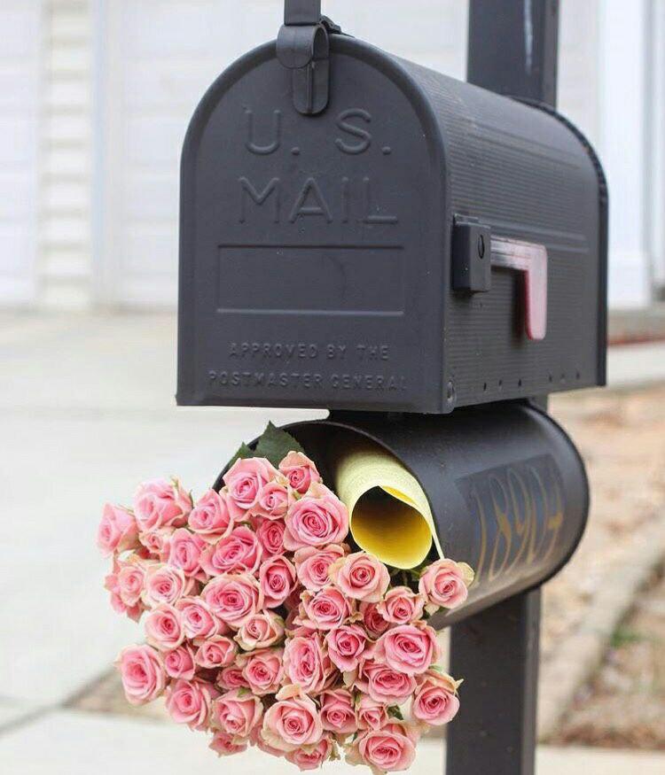 اضغط على الصورة لعرض أكبر.&nbsp;

الإسم:	photo_2019-03-04_22-21-11.jpg&nbsp;
مشاهدات:	1&nbsp;
الحجم:	75.5 كيلوبايت&nbsp;
الهوية:	863454