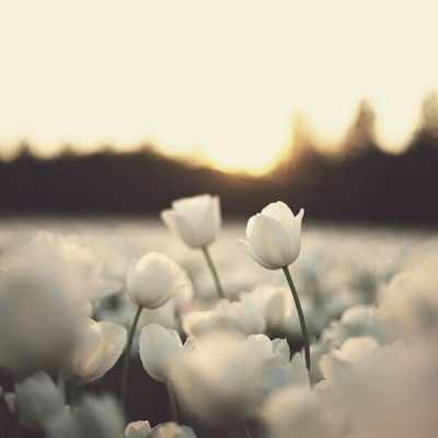 اضغط على الصورة لعرض أكبر.&nbsp;

الإسم:	photo_2016-11-08_22-17-58.jpg&nbsp;
مشاهدات:	1&nbsp;
الحجم:	10.3 كيلوبايت&nbsp;
الهوية:	860244