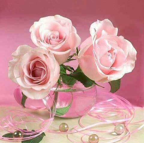 اضغط على الصورة لعرض أكبر.&nbsp;

الإسم:	IMG-20170109-WA0043.jpg&nbsp;
مشاهدات:	1&nbsp;
الحجم:	115.2 كيلوبايت&nbsp;
الهوية:	861188