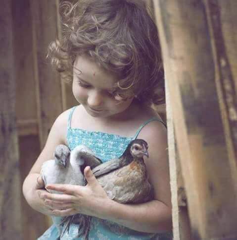 اضغط على الصورة لعرض أكبر.&nbsp;

الإسم:	FB_IMG_1477235882874.jpg&nbsp;
مشاهدات:	2&nbsp;
الحجم:	21.3 كيلوبايت&nbsp;
الهوية:	860558