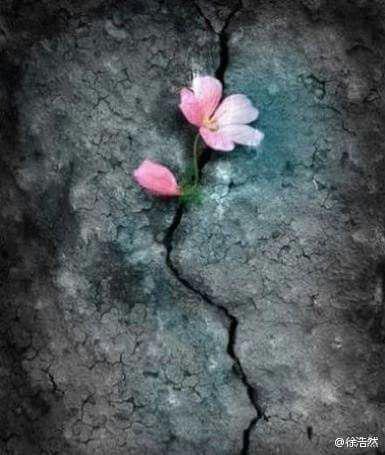 اضغط على الصورة لعرض أكبر.&nbsp;

الإسم:	photo_2018-01-07_20-57-12.jpg&nbsp;
مشاهدات:	1&nbsp;
الحجم:	32.9 كيلوبايت&nbsp;
الهوية:	862223