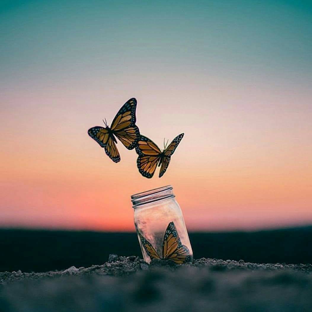 اضغط على الصورة لعرض أكبر.&nbsp;

الإسم:	IMG-20170508-WA0025.jpg&nbsp;
مشاهدات:	2&nbsp;
الحجم:	52.2 كيلوبايت&nbsp;
الهوية:	861926