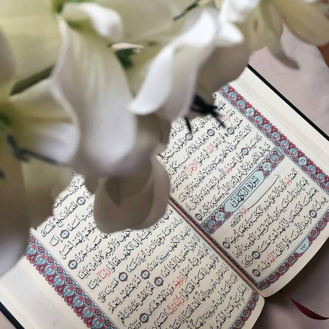 اضغط على الصورة لعرض أكبر.&nbsp;

الإسم:	photo_2018-04-05_21-07-31.jpg&nbsp;
مشاهدات:	1&nbsp;
الحجم:	156.8 كيلوبايت&nbsp;
الهوية:	862210