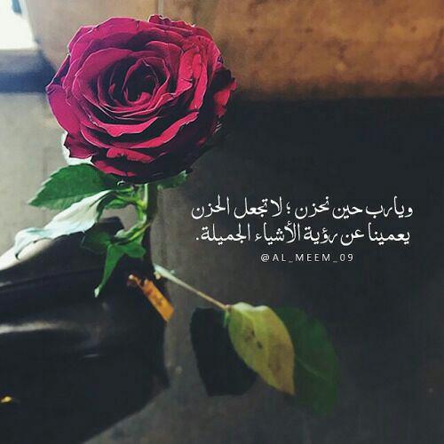 اضغط على الصورة لعرض أكبر.&nbsp;

الإسم:	photo_2017-07-12_21-41-12.jpg&nbsp;
مشاهدات:	1&nbsp;
الحجم:	29.3 كيلوبايت&nbsp;
الهوية:	860850