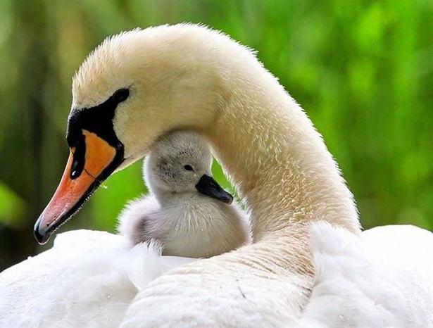 اضغط على الصورة لعرض أكبر.&nbsp;

الإسم:	photo_2016-12-21_19-05-50.jpg&nbsp;
مشاهدات:	1&nbsp;
الحجم:	38.4 كيلوبايت&nbsp;
الهوية:	860374