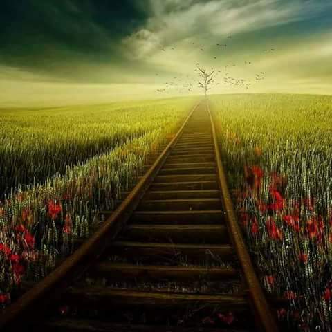 اضغط على الصورة لعرض أكبر.&nbsp;

الإسم:	FB_IMG_1487043704102.jpg&nbsp;
مشاهدات:	1&nbsp;
الحجم:	26.1 كيلوبايت&nbsp;
الهوية:	862281