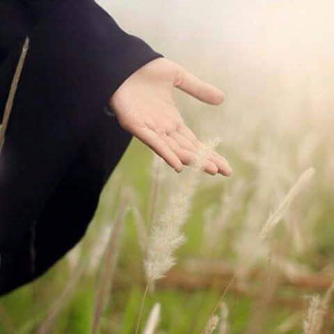 اضغط على الصورة لعرض أكبر.&nbsp;

الإسم:	FB_IMG_1482293586173.jpg&nbsp;
مشاهدات:	1&nbsp;
الحجم:	12.6 كيلوبايت&nbsp;
الهوية:	861496