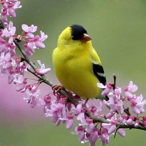 اضغط على الصورة لعرض أكبر.&nbsp;

الإسم:	IMG-20150113-WA0004.jpg&nbsp;
مشاهدات:	2&nbsp;
الحجم:	123.4 كيلوبايت&nbsp;
الهوية:	861851