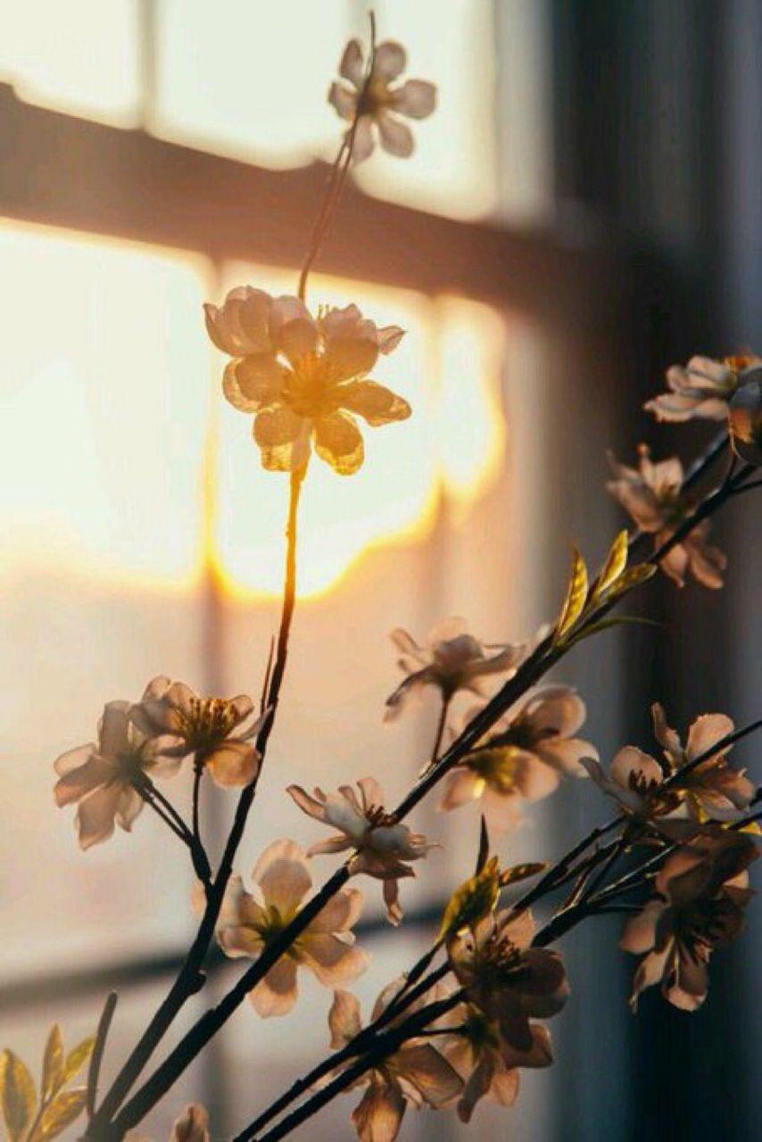 اضغط على الصورة لعرض أكبر.&nbsp;

الإسم:	photo_2018-05-19_23-46-47.jpg&nbsp;
مشاهدات:	1&nbsp;
الحجم:	100.8 كيلوبايت&nbsp;
الهوية:	863392