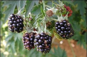 اضغط على الصورة لعرض أكبر.&nbsp;

الإسم:	ببب.png&nbsp;
مشاهدات:	1&nbsp;
الحجم:	126.2 كيلوبايت&nbsp;
الهوية:	849903