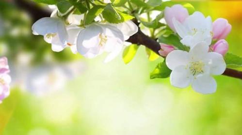 اضغط على الصورة لعرض أكبر.&nbsp;

الإسم:	received_707178269443706.jpg&nbsp;
مشاهدات:	1&nbsp;
الحجم:	15.6 كيلوبايت&nbsp;
الهوية:	862446