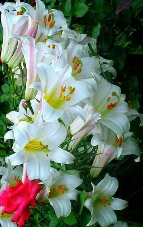 اضغط على الصورة لعرض أكبر.&nbsp;

الإسم:	photo_2017-06-14_19-01-12.jpg&nbsp;
مشاهدات:	1&nbsp;
الحجم:	50.5 كيلوبايت&nbsp;
الهوية:	862278