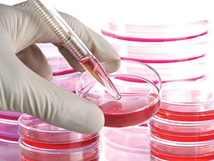 اضغط على الصورة لعرض أكبر.&nbsp;

الإسم:	436x328_10764_217573.jpg&nbsp;
مشاهدات:	1&nbsp;
الحجم:	103.5 كيلوبايت&nbsp;
الهوية:	849481