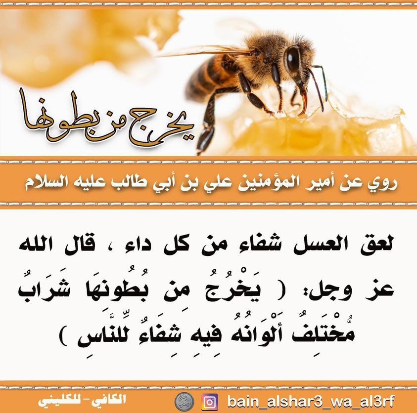 اضغط على الصورة لعرض أكبر.&nbsp;

الإسم:	321627089_617101406848989_3132248699867166813_n.jpg&nbsp;
مشاهدات:	457&nbsp;
الحجم:	172.1 كيلوبايت&nbsp;
الهوية:	963009