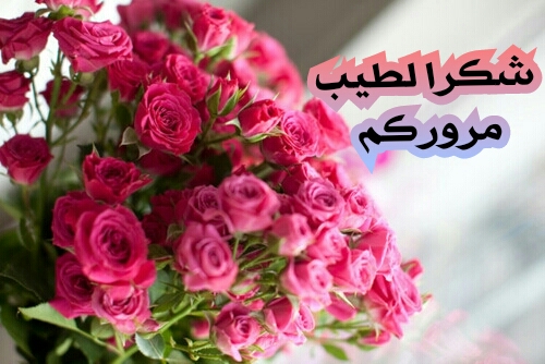 اضغط على الصورة لعرض أكبر.&nbsp;

الإسم:	CTD662018102444.jpg&nbsp;
مشاهدات:	3&nbsp;
الحجم:	148.0 كيلوبايت&nbsp;
الهوية:	841129