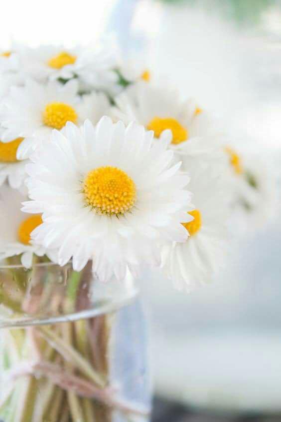 اضغط على الصورة لعرض أكبر.&nbsp;

الإسم:	photo_2017-06-02_19-36-38.jpg&nbsp;
مشاهدات:	2&nbsp;
الحجم:	25.2 كيلوبايت&nbsp;
الهوية:	861979