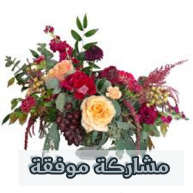 اضغط على الصورة لعرض أكبر.&nbsp;

الإسم:	IMG_20201107_110923.jpg&nbsp;
مشاهدات:	729&nbsp;
الحجم:	113.5 كيلوبايت&nbsp;
الهوية:	901073