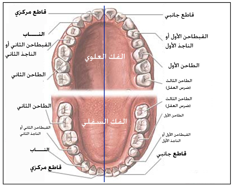 اضغط على الصورة لعرض أكبر.&nbsp;

الإسم:	5467alsh3er.jpg&nbsp;
مشاهدات:	1&nbsp;
الحجم:	159.6 كيلوبايت&nbsp;
الهوية:	847671