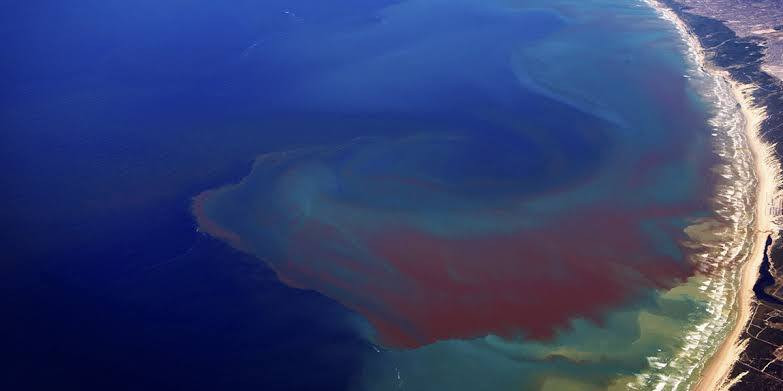 اضغط على الصورة لعرض أكبر.&nbsp;

الإسم:	dataurl646822.jpg&nbsp;
مشاهدات:	67&nbsp;
الحجم:	38.2 كيلوبايت&nbsp;
الهوية:	1050248