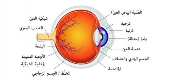 اضغط على الصورة لعرض أكبر.&nbsp;

الإسم:	image.png&nbsp;
مشاهدات:	273&nbsp;
الحجم:	128.7 كيلوبايت&nbsp;
الهوية:	1008624